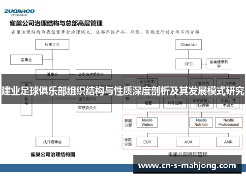 建业足球俱乐部组织结构与性质深度剖析及其发展模式研究