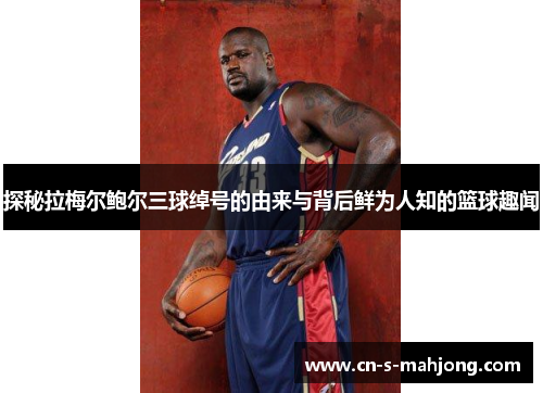 探秘拉梅尔鲍尔三球绰号的由来与背后鲜为人知的篮球趣闻