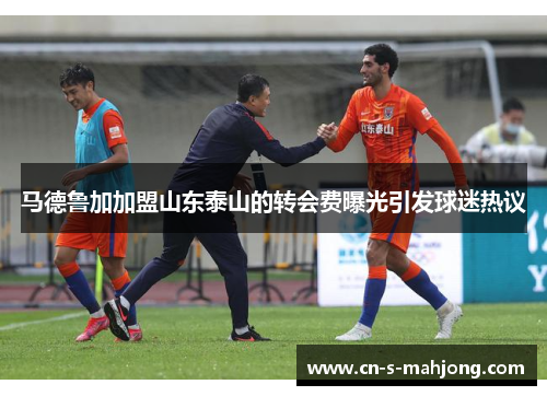 马德鲁加加盟山东泰山的转会费曝光引发球迷热议